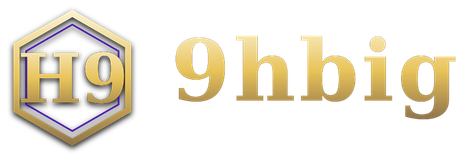 9hbig logo
